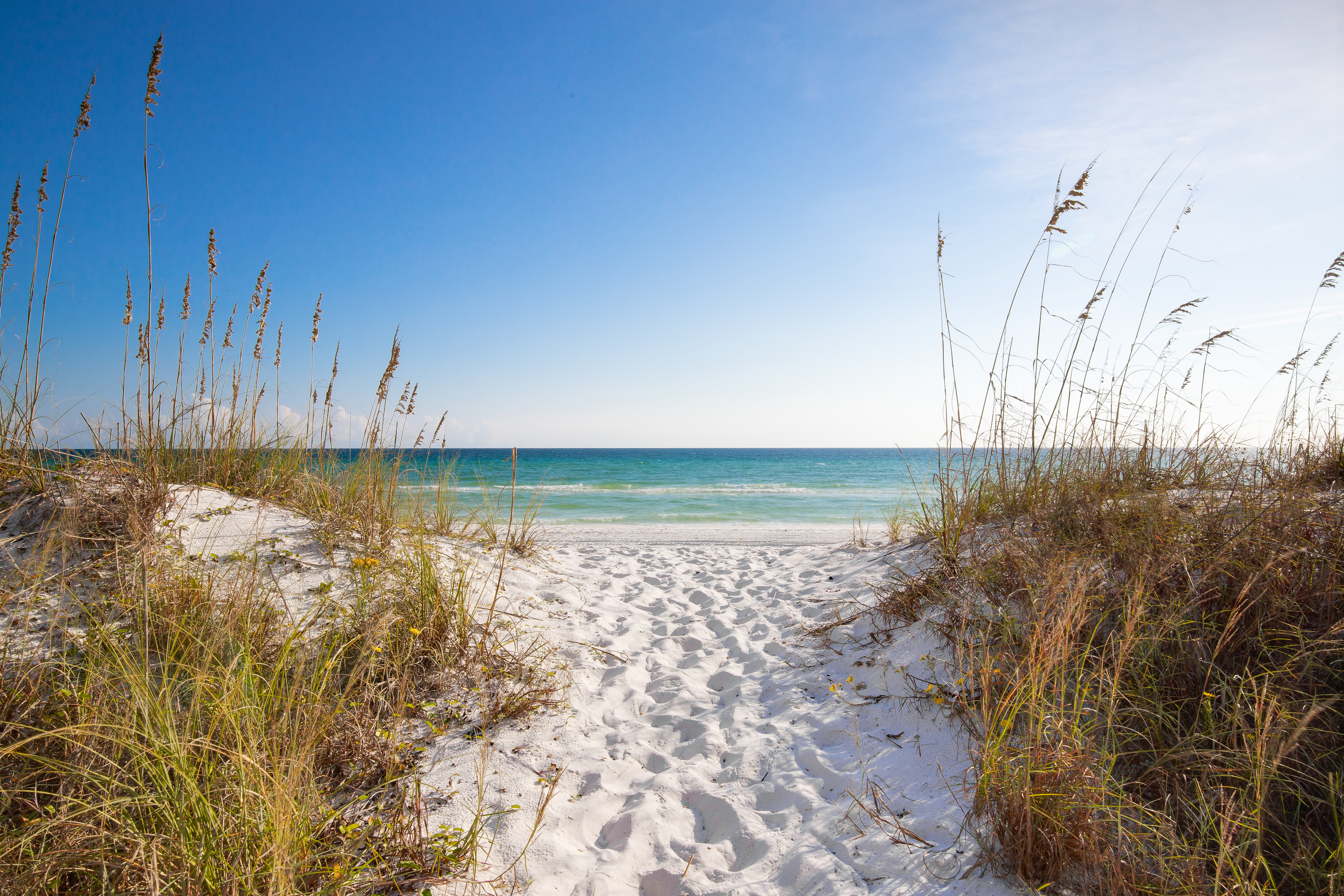 A pathway to the Gulf in the sand between native sea oats in Grayton Beach 